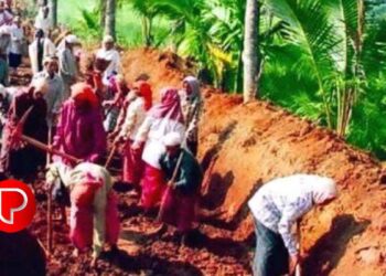 തൊഴിലുറപ്പിന് സാധനം വാങ്ങിയ വ്യാജ രസീത് ; പഞ്ചായത്ത് സെക്രട്ടറിക്ക് 10 വര്‍ഷം തടവും 95,000 രൂപ പിഴയും