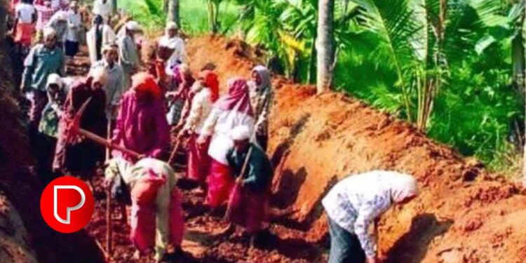 തൊഴിലുറപ്പിന് സാധനം വാങ്ങിയ വ്യാജ രസീത് ; പഞ്ചായത്ത് സെക്രട്ടറിക്ക് 10 വര്ഷം തടവും 95,000 രൂപ പിഴയും