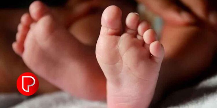 ഓമശ്ശേരിയിൽ കുടുംബ സംഗമത്തിൽ പങ്കെടുക്കാൻ എത്തിയ മൂന്നര വയസ് പ്രായമുള്ള കുട്ടി കിണറ്റിൽ വീണ് മരിച്ചു