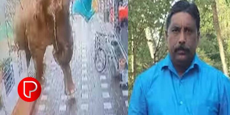 കാട്ടാനയുടെ റേഡിയോകോളർ സിഗ്നൽ നൽകാൻ കർണ്ണാടകം തയ്യാറായില്ലെന്ന് കേരളം