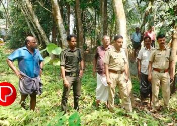 കോടഞ്ചേരി പഞ്ചായത്തിലെ മൈക്കൗവിൽ പുലി ഇറങ്ങിയതായി അഭ്യൂഹം; ഒടുവിൽ കാട്ടുപൂച്ചയാണെന്ന് സ്ഥിരീകരിച്ചു