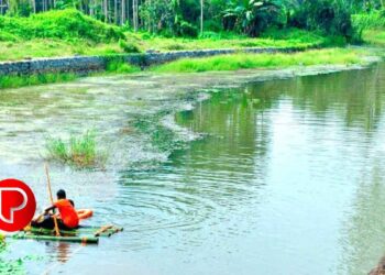 ബാലുശ്ശേരി മണ്ഡലത്തിലെ അഞ്ച് ഗ്രാമപഞ്ചായത്തുകളുടെ ജീവനാഡിയായി ഒഴുകുന്ന മഞ്ഞപ്പുഴ-രാമൻപുഴ പദ്ധതി; കാട്ടാമ്ബള്ളി പുഴയോരത്ത് രണ്ടു കോടിയുടെ ടൂറിസം വികസനം