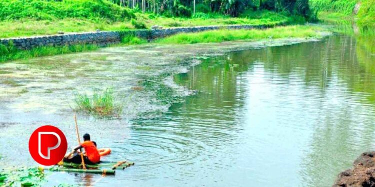 ബാലുശ്ശേരി മണ്ഡലത്തിലെ അഞ്ച് ഗ്രാമപഞ്ചായത്തുകളുടെ ജീവനാഡിയായി ഒഴുകുന്ന മഞ്ഞപ്പുഴ-രാമൻപുഴ പദ്ധതി; കാട്ടാമ്ബള്ളി പുഴയോരത്ത് രണ്ടു കോടിയുടെ ടൂറിസം വികസനം