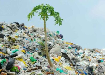 മാലിന്യസംഭരണത്തിനു ജില്ലയിൽ പുതിയ നാല് കേന്ദ്രങ്ങള്‍