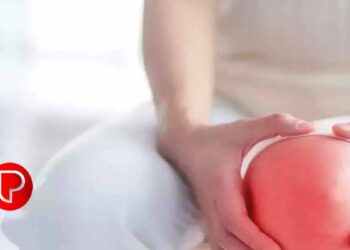 മുട്ടിനു തേയ്മാനം ഉണ്ടോ ? തടയാൻ കഴിക്കേണ്ട ഭക്ഷണങ്ങൾ