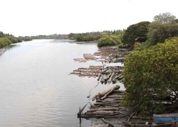 കല്ലായിപ്പുഴയിലെ ചളി നീക്കല്‍; ഈ മാസം വീണ്ടും ടെൻഡര്‍