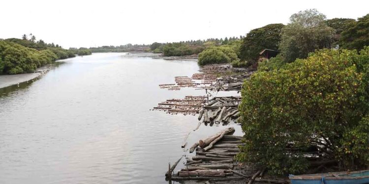 കല്ലായിപ്പുഴയിലെ ചളി നീക്കല്‍; ഈ മാസം വീണ്ടും ടെൻഡര്‍
