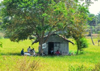 കോഴിക്കോട്, മലപ്പുറം എക്സൈസ് ഡിവിഷനുകളിലെ കള്ള് ഷാപ്പുകളുടെ പുനര്‍വില്‍പ്പന ഫെബ്രുവരി ആറിന്