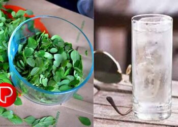 മുരിങ്ങയിലവെള്ളത്തിൽ ഈ ഒരൊറ്റ സാധനം മതി ഷുഗർ പമ്പ കടക്കും