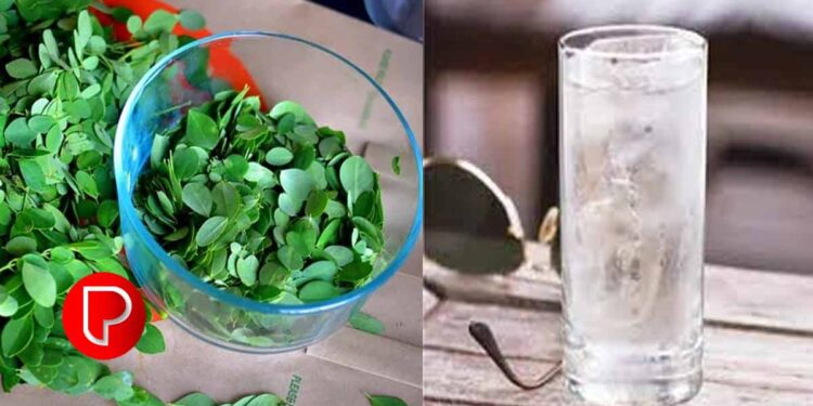 മുരിങ്ങയിലവെള്ളത്തിൽ ഈ ഒരൊറ്റ സാധനം മതി ഷുഗർ പമ്പ കടക്കും