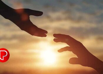 ചെറുവാടി ഗ്രാമം പറയുന്നു; ഷഫീഫിനെ കൈവിടില്ല