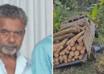 മരഞ്ചാട്ടിയിൽ പിക്കപ്പ് വാൻ നിയന്ത്രണം വിട്ട് വഴിയാത്രക്കാരനെ ഇടിച്ചു; 68-കാരന് ദാരുണാന്ത്യം