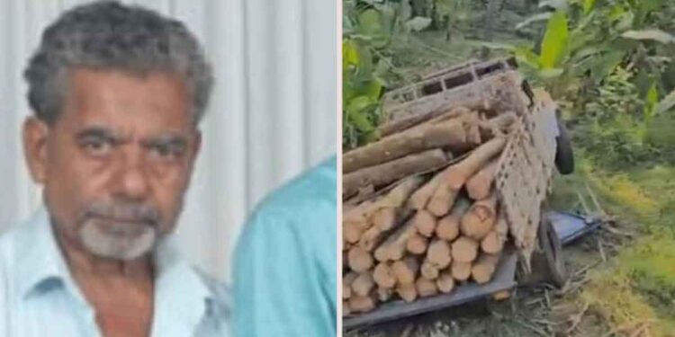 മരഞ്ചാട്ടിയിൽ പിക്കപ്പ് വാൻ നിയന്ത്രണം വിട്ട് വഴിയാത്രക്കാരനെ ഇടിച്ചു; 68-കാരന് ദാരുണാന്ത്യം