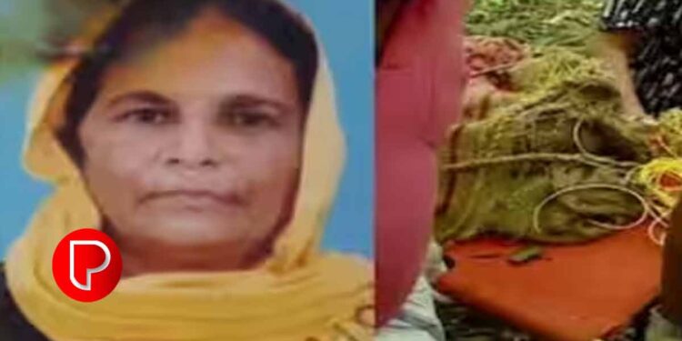 കുറ്റിക്കാട്ടൂർ സൈനബ വധക്കേസ് ; പൊലീസ് കുറ്റപത്രം നൽകി