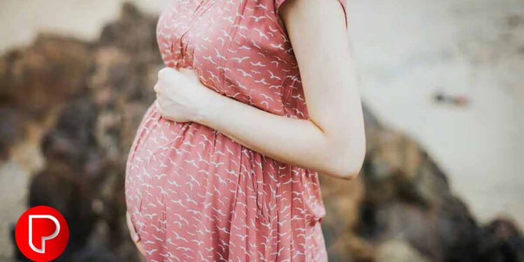 കുട്ടികളില്ലാത്തവർക്ക് ആശ്വാസം; ദാതാവിനോട് അണ്ഡമോ ബീജമോ വാങ്ങാം പുതിയ വ്യവസ്ഥ.