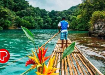 വയനാട്ടിലേക്ക് പോകാൻ വരട്ടെ; വന്യജീവി ആക്രമണം രൂക്ഷമായതോടെ ഇക്കോ ടൂറിസം കേന്ദ്രങ്ങള്‍ അടച്ചു