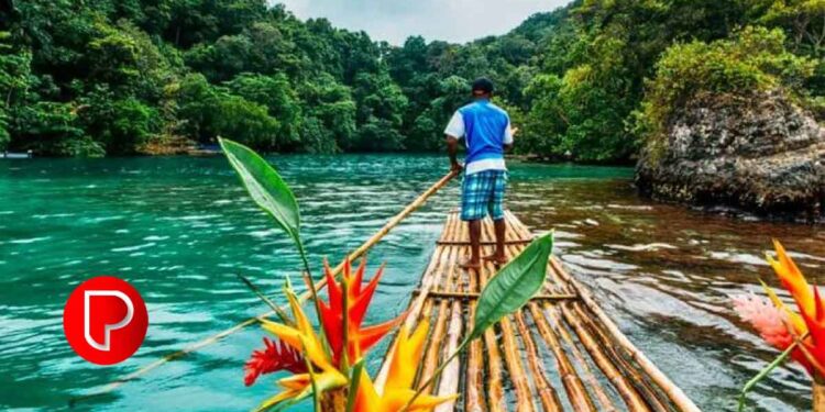 വയനാട്ടിലേക്ക് പോകാൻ വരട്ടെ; വന്യജീവി ആക്രമണം രൂക്ഷമായതോടെ ഇക്കോ ടൂറിസം കേന്ദ്രങ്ങള്‍ അടച്ചു