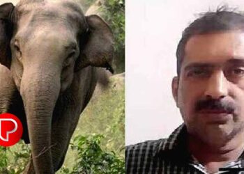 പോളിന്റെ കുടുംബത്തിന് 11 ലക്ഷം ഉടൻ നൽകും ; ഭാര്യക്ക് ജോലി നൽകാനും തീരുമാനം