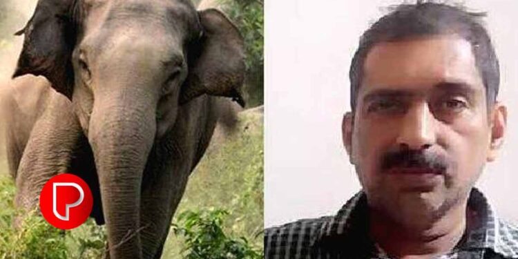 പോളിന്റെ കുടുംബത്തിന് 11 ലക്ഷം ഉടൻ നൽകും ; ഭാര്യക്ക് ജോലി നൽകാനും തീരുമാനം