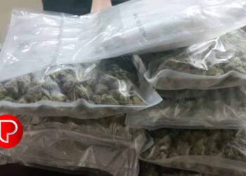 33 ലക്ഷം രൂപയുടെ കഞ്ചാവ് നെടുമ്പാശ്ശേരിയിൽ നിന്നും പിടികൂടി