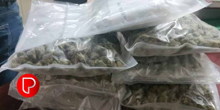 33 ലക്ഷം രൂപയുടെ കഞ്ചാവ് നെടുമ്പാശ്ശേരിയിൽ നിന്നും പിടികൂടി