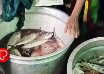 തിരുവനന്തപുരത്ത് മാർക്കറ്റിൽ നിന്ന് 35 കിലോ പഴകിയ മത്സ്യം പിടിച്ചെടുത്തു