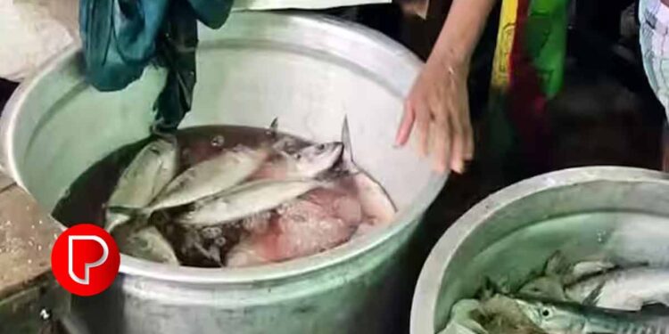 തിരുവനന്തപുരത്ത് മാർക്കറ്റിൽ നിന്ന് 35 കിലോ പഴകിയ മത്സ്യം പിടിച്ചെടുത്തു