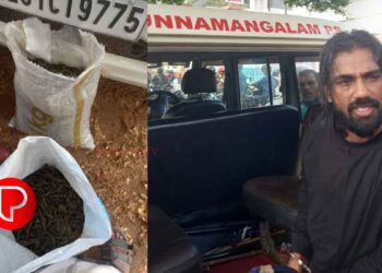 കുന്ദമംഗലത്ത് വൻ കഞ്ചാവ് വേട്ട; 14.500 കിലോ കഞ്ചാവുമായി ഒരാൾ പിടിയിൽ