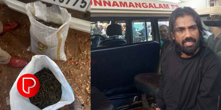 കുന്ദമംഗലത്ത് വൻ കഞ്ചാവ് വേട്ട; 14.500 കിലോ കഞ്ചാവുമായി ഒരാൾ പിടിയിൽ