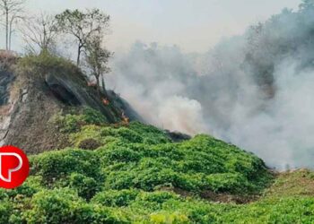 കിനാലൂര്‍ ഉഷ സ്കൂളിനു സമീപം തീപിടിത്തം; നരിക്കുനി അഗ്നിരക്ഷാസേന തീയണച്ചു.