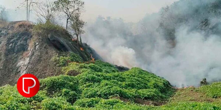 കിനാലൂര്‍ ഉഷ സ്കൂളിനു സമീപം തീപിടിത്തം; നരിക്കുനി അഗ്നിരക്ഷാസേന തീയണച്ചു.