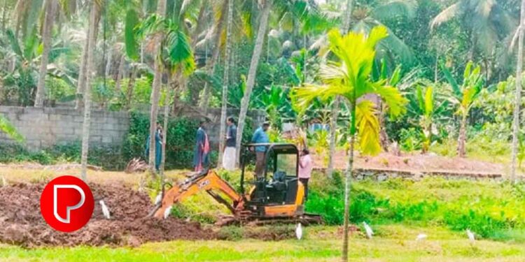 നരിക്കുനിയിൽ അനധികൃതമായി തണ്ണീര്‍ത്തടം നികത്തൽ; ഹിറ്റാച്ചി പിടിച്ചു