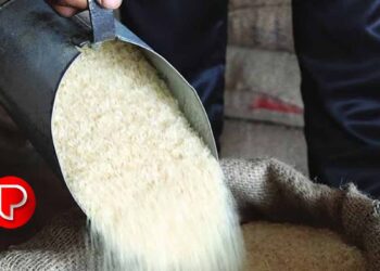 കുറഞ്ഞ വിലയ്ക്ക് റേഷനരി വാങ്ങി കോഴി ഫാമിന് മറിച്ച് വിൽക്കും, 15 ടൺ അരി പിടികൂടി