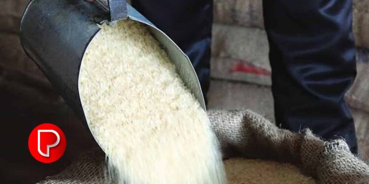 കുറഞ്ഞ വിലയ്ക്ക് റേഷനരി വാങ്ങി കോഴി ഫാമിന് മറിച്ച് വിൽക്കും, 15 ടൺ അരി പിടികൂടി