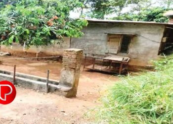 കട്ടപ്പനയിലെ ഇരട്ടക്കൊലയുമായി കൂടുതൽ വിവരങ്ങൾ പുറത്ത് ; മൃതദേഹത്തോട് കാട്ടിയത് കൊടുംക്രൂരത