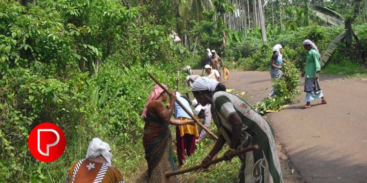 തൊഴിലുറപ്പ് പദ്ധതിയുടെ വേതനം കൂട്ടി : കേരളത്തിൽ 349 രൂപ ; ഏറ്റവും കൂടുതൽ ഹരിയാനയിലും സിക്കിമിലും