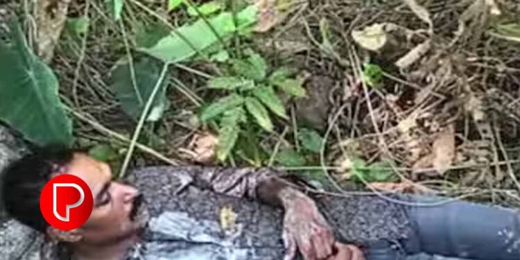 വയനാട്ടില് ഭാര്യയെയും മകളെയുമടക്കം 3 പേരെ ചുറ്റികയ്ക്ക് അടിച്ചുകൊല്ലാൻ ശ്രമം