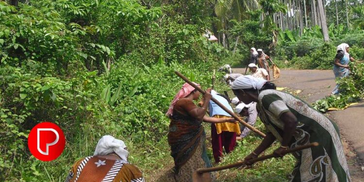 തൊഴിലുറപ്പിൽ കേരളം പൂർത്തിയാക്കിയത് 9.94 കോടി തൊഴില് ദിനം ; റെക്കോർഡ്