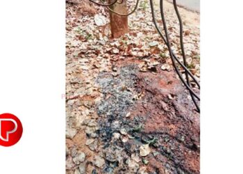 പെരുവണ്ണാമൂഴിയിൽ ഇലക്‌ട്രിക് ട്രാൻസ്ഫോര്‍മറിന്‍റെ അടിവശത്തെ ഉണങ്ങിയ ഇലകള്‍ക്ക് തീ പിടിച്ചു; നാട്ടുകാരുടെ ഇടപെടല്‍, ഒഴിവായത് വൻ ദുരന്തം