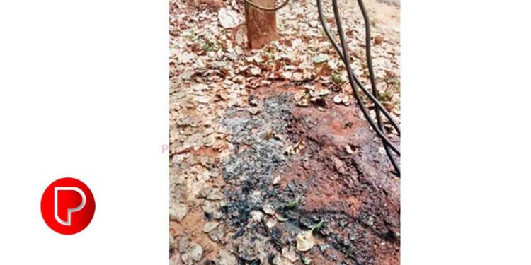 പെരുവണ്ണാമൂഴിയിൽ ഇലക്‌ട്രിക് ട്രാൻസ്ഫോര്‍മറിന്‍റെ അടിവശത്തെ ഉണങ്ങിയ ഇലകള്‍ക്ക് തീ പിടിച്ചു; നാട്ടുകാരുടെ ഇടപെടല്‍, ഒഴിവായത് വൻ ദുരന്തം