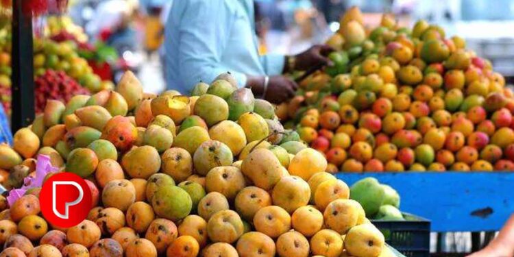 ഉല്‍പാദനം തീരെ കുറഞ്ഞതോടെ ഒളോര്‍ മാമ്പഴത്തിന് വില കൂടുതലാണ്