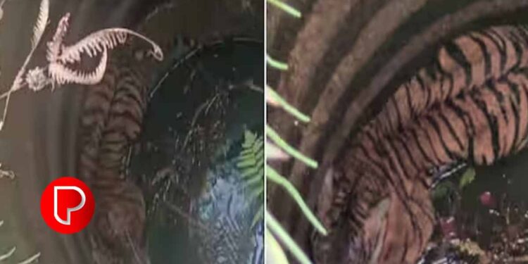 മോട്ടോര് ഓണക്കിയിട്ടും വെള്ളം കയറിയില്ല ; പരിശോധിച്ച വീട്ടുകാർ കിണറ്റില് കണ്ടത്