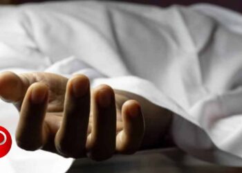 തേയില തോട്ടത്തിൽ മരുന്നടിക്കാൻ പോയ തൊഴിലാളിക്ക് കാട്ടുപോത്തിന്റെ ആക്രമണത്തിൽ ദാരുണാന്ത്യം