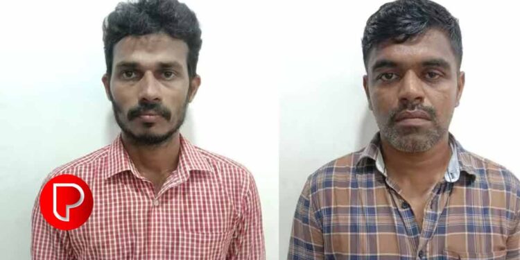 വഴി ചോദിക്കാനെന്ന വ്യാജേന വീട്ടമ്മയുടെ സ്വർണമാല പിടിച്ചുപറിച്ചു; രണ്ടുപേർ അറസ്റ്റിൽ