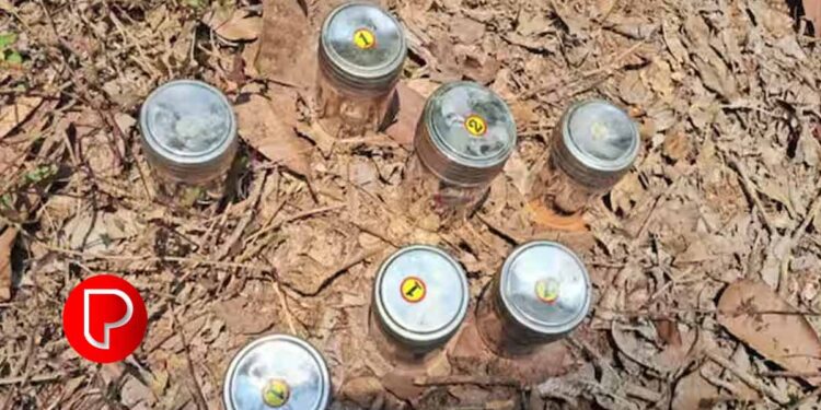 പാനൂരിലെ സ്ഫോടനം ; വീടിനോട് ചേർന്ന പറമ്പിൽ ഏഴ് ബോംബുകൾ ഒളിപ്പിച്ച നിലയില്‍ കണ്ടെത്തി