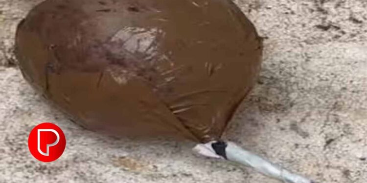 തൃശൂര്‍ കുന്നംകുളത്ത് സ്കൂളിന് സമീപം സ്ഫോടക വസ്തു പിടിച്ചെടുത്തു