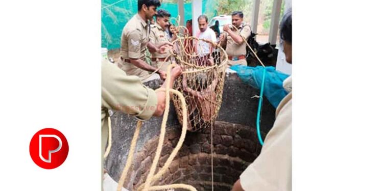 മുത്തേരിയിൽ കിണര്‍ വൃത്തിയാക്കാനിറങ്ങി കുടുങ്ങിയ ആളെ മുക്കം അഗ്നിരക്ഷാ സേന രക്ഷപ്പെടുത്തി