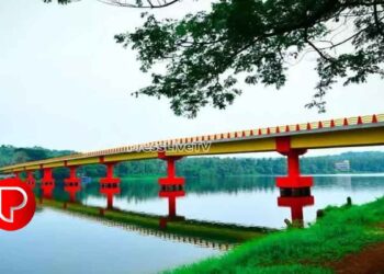 എളമരം പാലത്തിലൂടെ ബസ് : പെര്‍മിറ്റ് അപേക്ഷ നിരസിച്ചതിനെതിരേ ആക്‌ഷന്‍ കമ്മിറ്റി