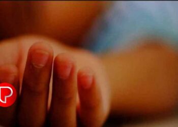 ഡെങ്കിപ്പനി ; ഇടുക്കിയിൽ പനി ബാധിച്ചു 10 വയസ്സുകാരി മരിച്ചു