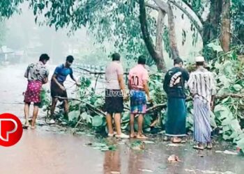 കനത്ത മഴയും കാറ്റും; മുക്കം മേഖലയില്‍ വ്യാപക നാശം